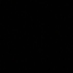 Meet your Posher, Brett